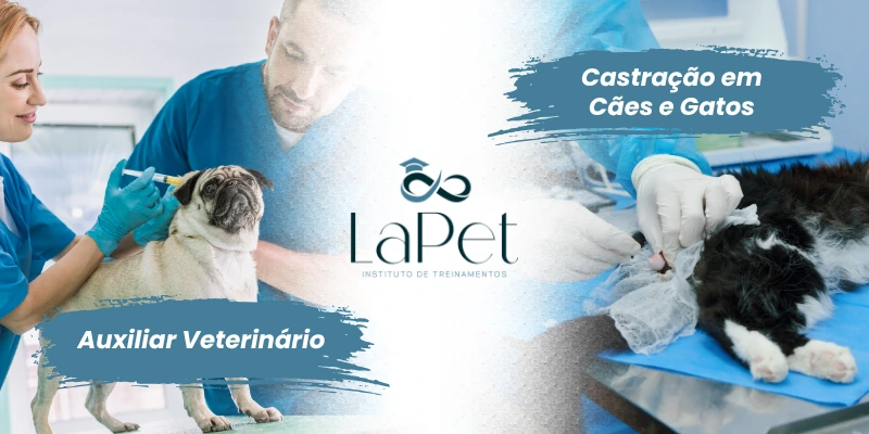 CAPA MOB (1)