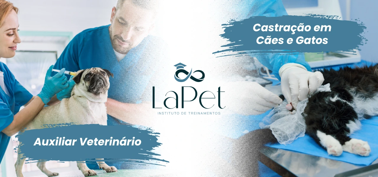 CAPA-TAB (1)