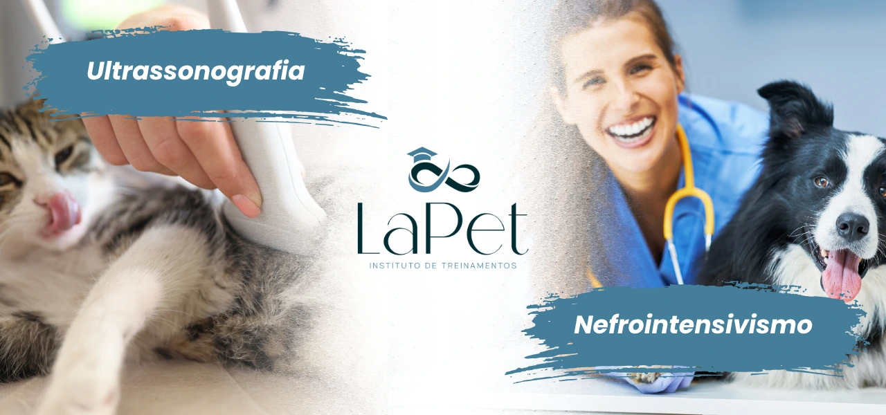 CAPA-TAB (2)