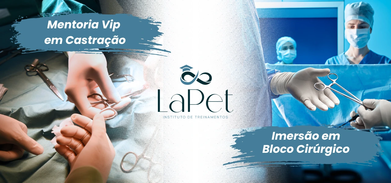 CAPA-TAB (3)