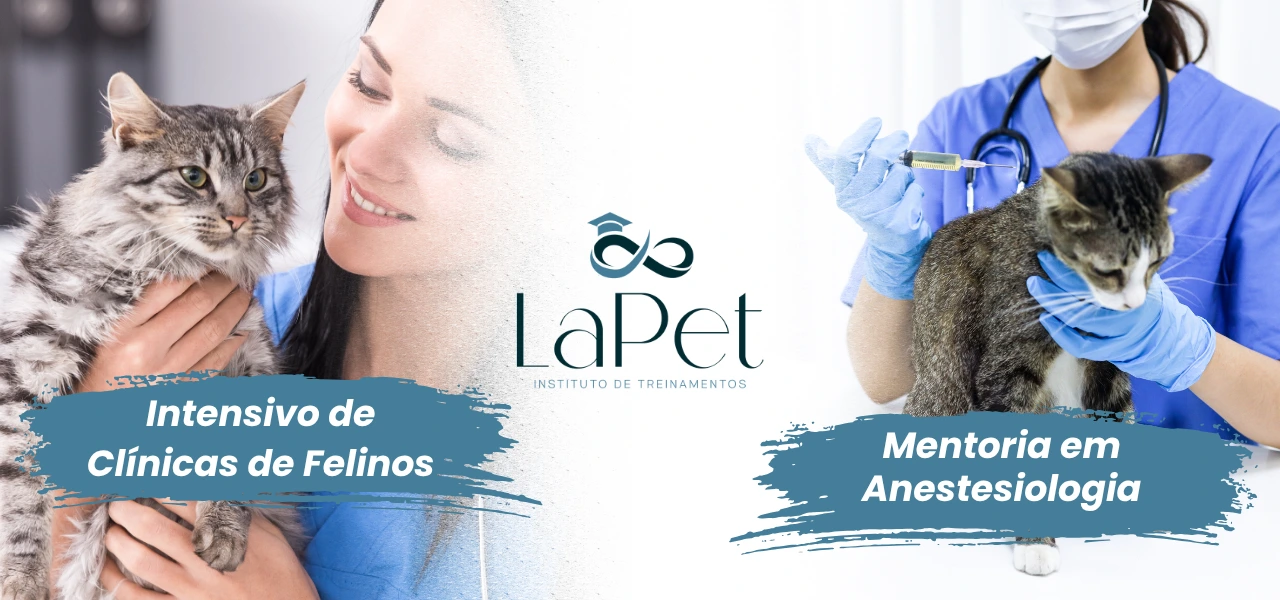 CAPA-TAB (4)